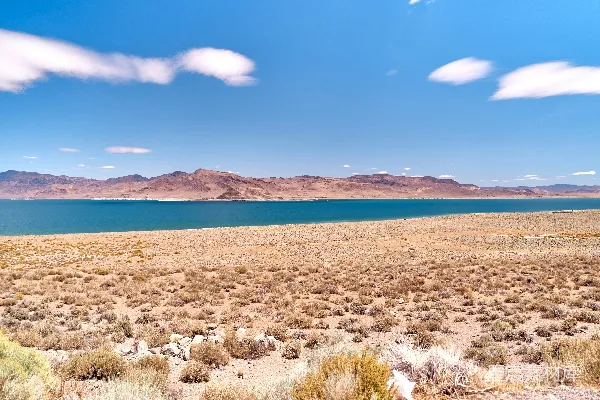 高清摄影 背景中有水的风景