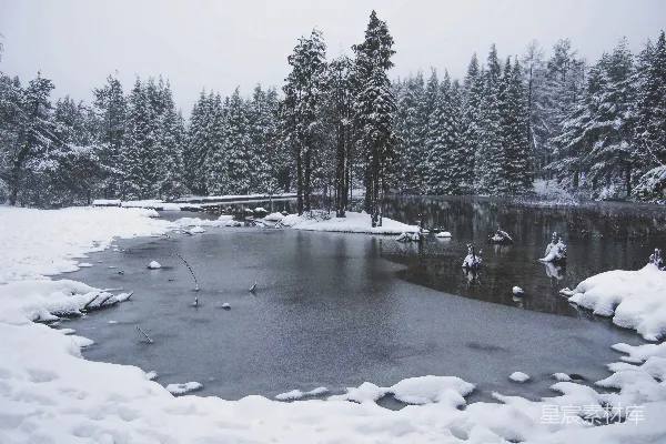 高清摄影 结冰的湖周围环绕着覆盖着白雪的树木