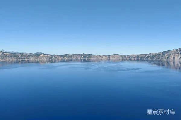 高清摄影 湖边生长着绿色叶子的植物