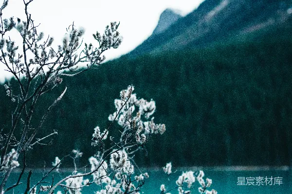 高清摄影 背景中有山的一片湖景
