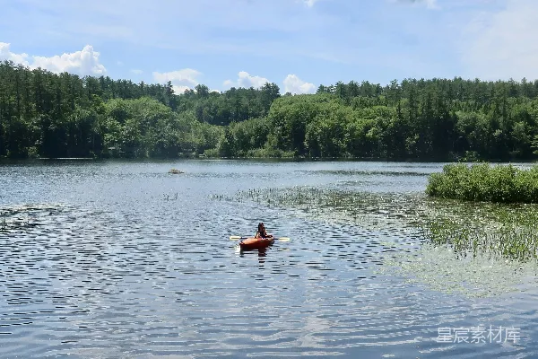 高清摄影 湖边环绕着树木的一位 kayaker