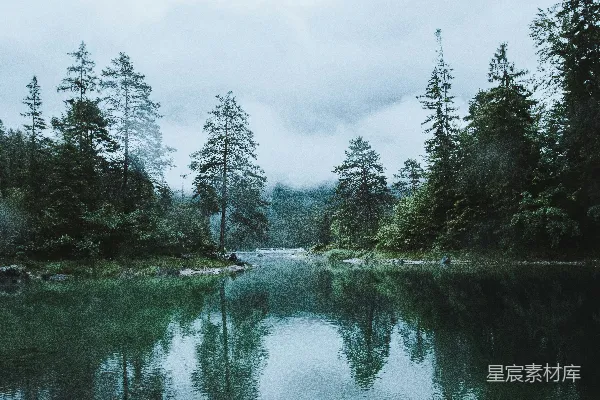 高清摄影 被树木环绕的一片水域