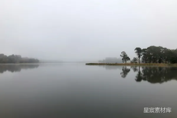 高清摄影 雾天近处的树林靠近水域