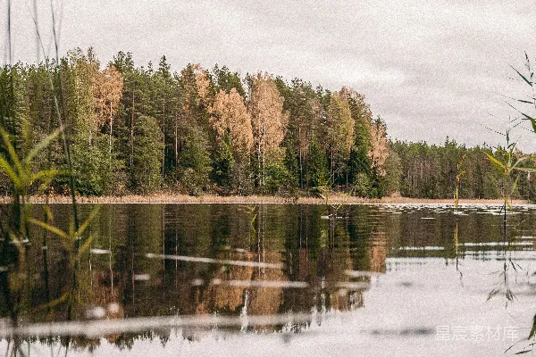 高清摄影 白天树木环绕的水体旁边