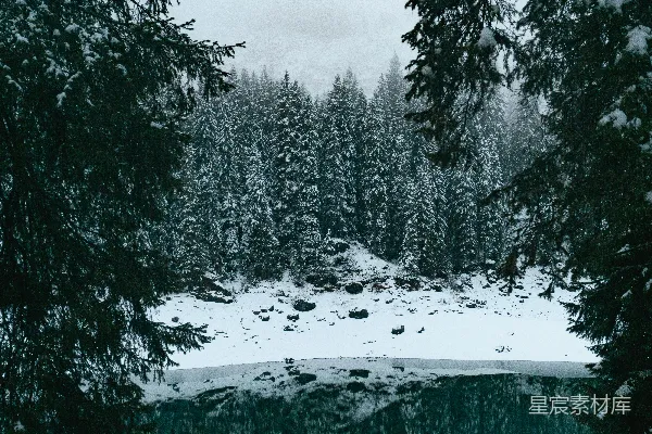 高清摄影 一片被雪覆盖的树木围绕着的湖泊森林中