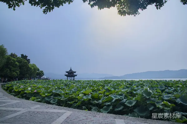 高清摄影 灰白之间是绿草