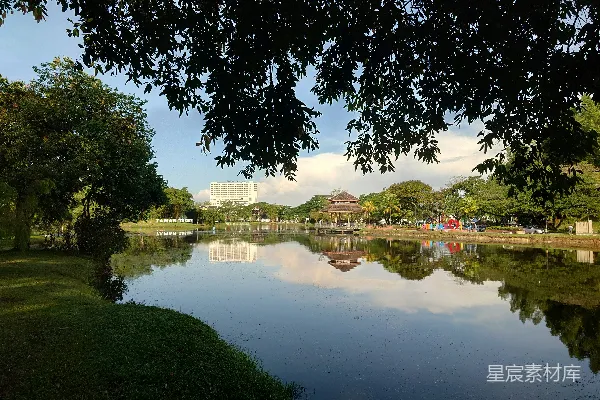 高清摄影 被树木和建筑围绕的一片水域