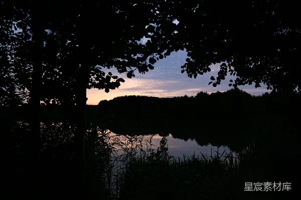 高清摄影 夜晚环绕着树木的一片水域