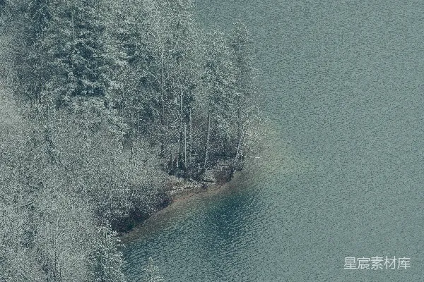 高清摄影 被树木覆盖着白雪环绕的水域