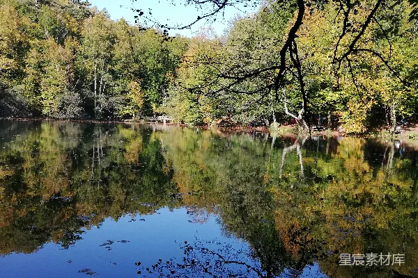 高清摄影 近水绿地 trees