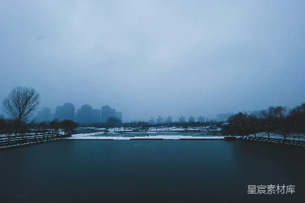 高清摄影 一片被雪覆盖的树木环绕的大片水域