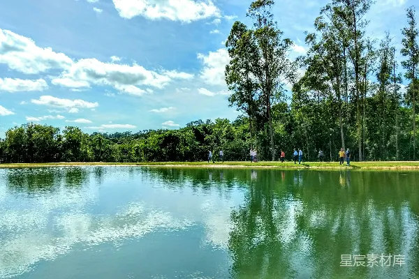 高清摄影 背景中有树木的水域