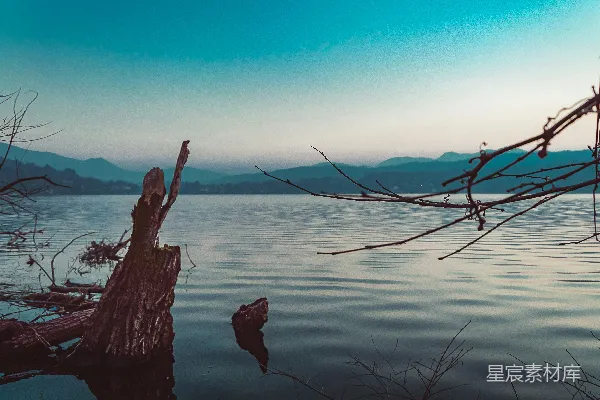 高清摄影 棕色的树干漂浮在水面上