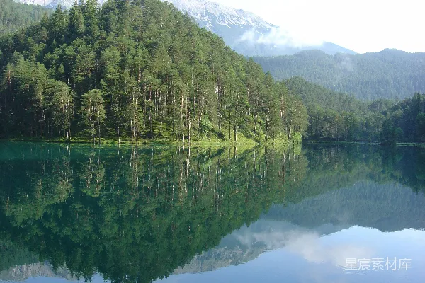 高清摄影 白天湖边绿树成荫