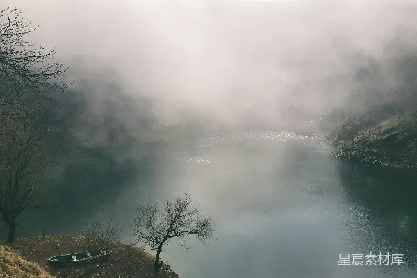 高清摄影 水边的绿树