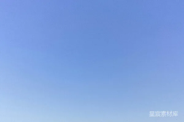 高清摄影 环绕着树木的大片水域