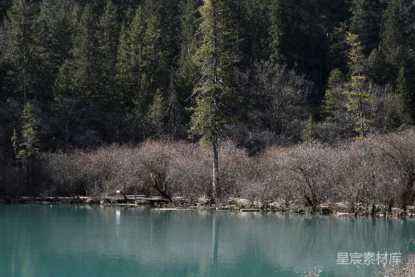 高清摄影 turquoise湖泊环绕着常绿森林和岩石山脉。