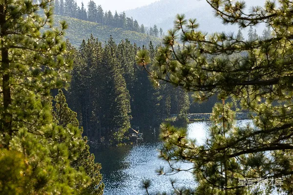 高清摄影 茂密的森林俯瞰着一片宁静的湖泊美景。