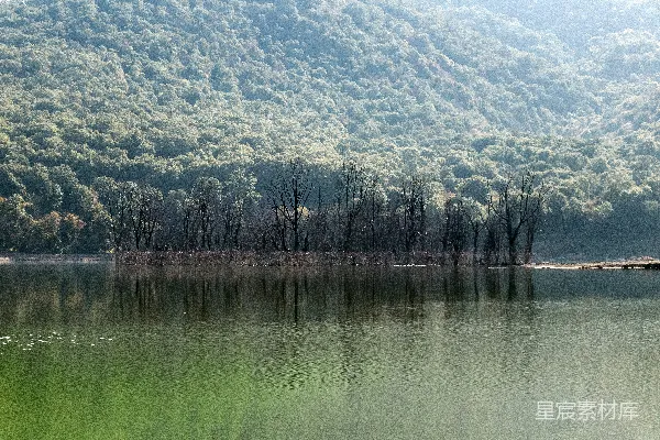 高清摄影 背景有树木和山的水域