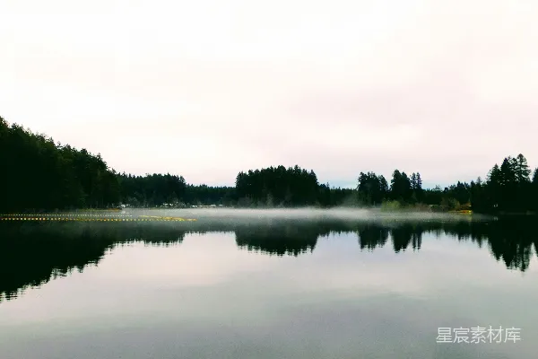 高清摄影 一棵树环绕的水体在阴天中的景象