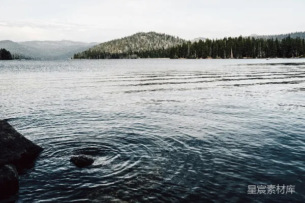 高清摄影 白天绿树环绕的水域