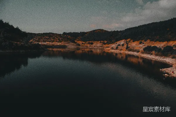 高清摄影 环绕着森林的一片水域