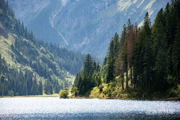 高清摄影 背景中有湖、树木和山峰。