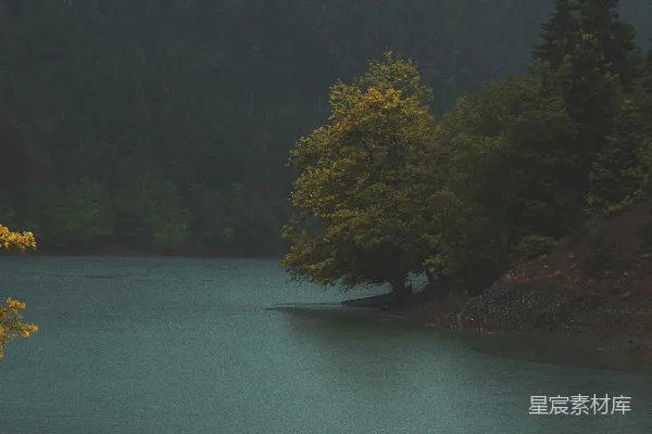 高清摄影 河边有一片水域