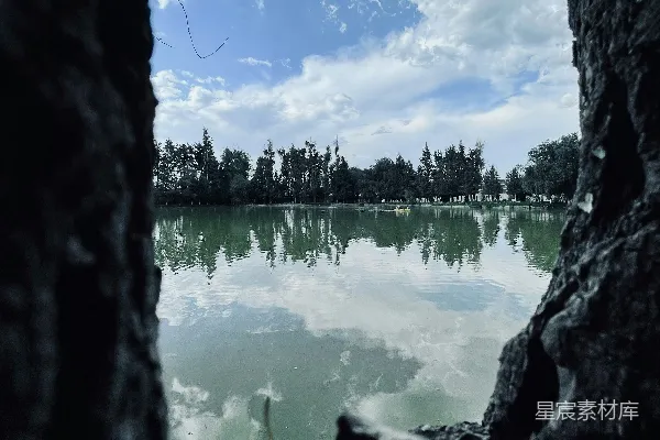 高清摄影 透过一棵树看去的湖景