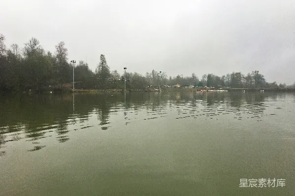 高清摄影 背景中有树木的水域
