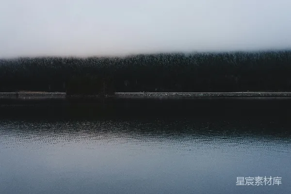 高清摄影 湖和森林的风景照片
