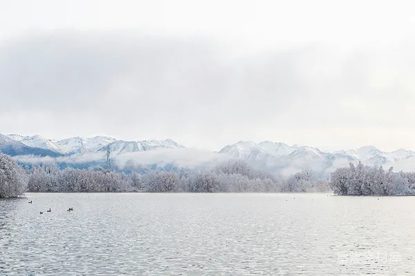高清摄影 白天靠近被白雪覆盖的山体附近的水域