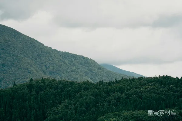 高清摄影 背景中有树木和山的水域