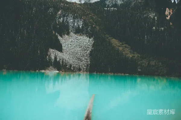 高清摄影 水边伸出的一截树桩
