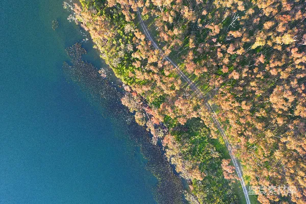 高清摄影 湖畔环绕着树木的一幅空中景象