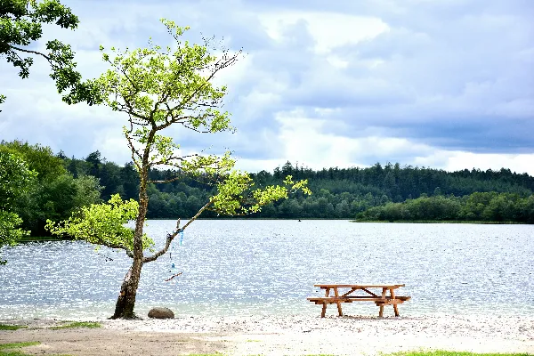 高清摄影 湖边一棵树旁的一张小圆桌