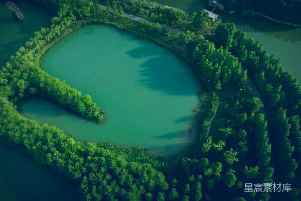 高清摄影 湖畔环绕着树木的一处高空俯视景象