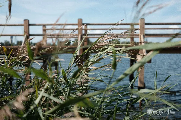 高清摄影 一座木桥跨越了一片水域