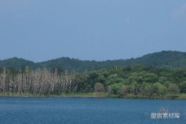 高清摄影 一片被树木环绕的大片水域