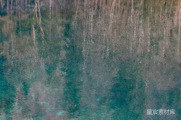 高清摄影 一艘船漂浮在湖边的森林旁