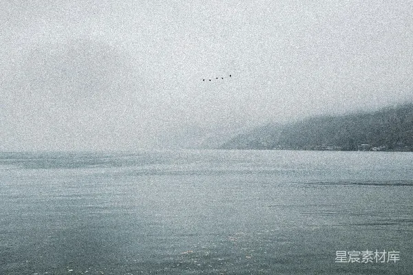 高清摄影 水面漂浮着许多叶子的一片水域