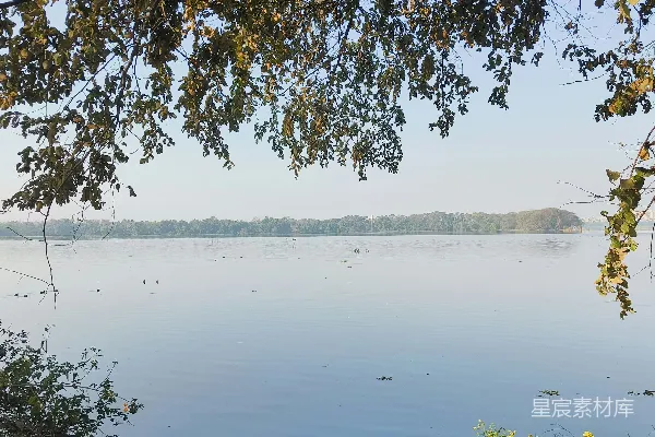 高清摄影 平静的湖水被树木环绕。