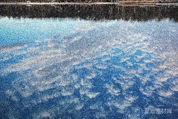 高清摄影 一片被树木环绕的大水域