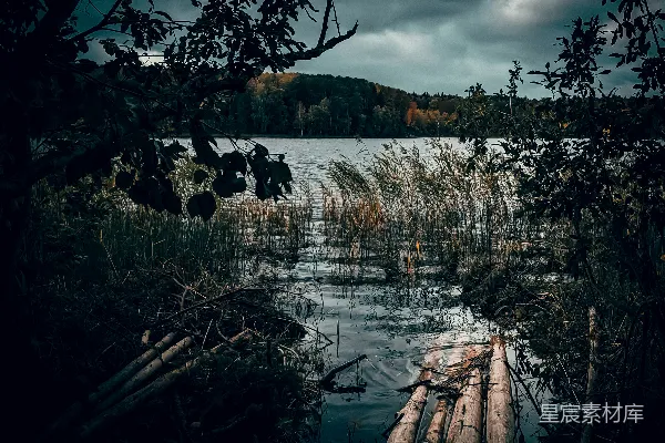 高清摄影 白天的水面