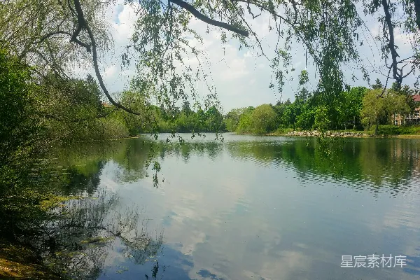 高清摄影 白天河边绿树成荫