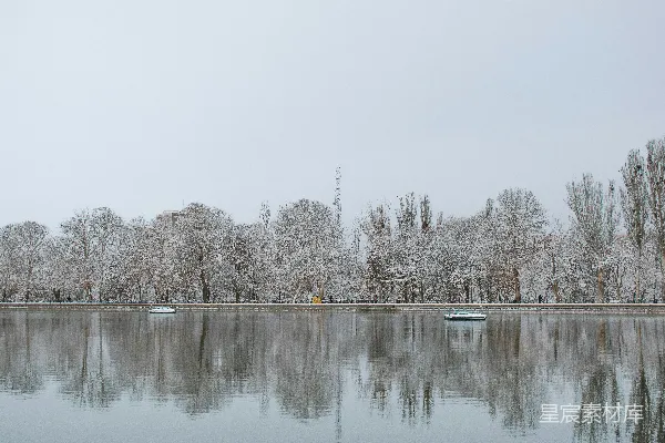 高清摄影 被树木覆盖着白雪环绕的水域
