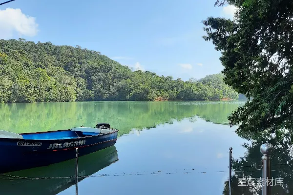高清摄影 一艘蓝色的小船坐在湖边的森林旁边静止不动。