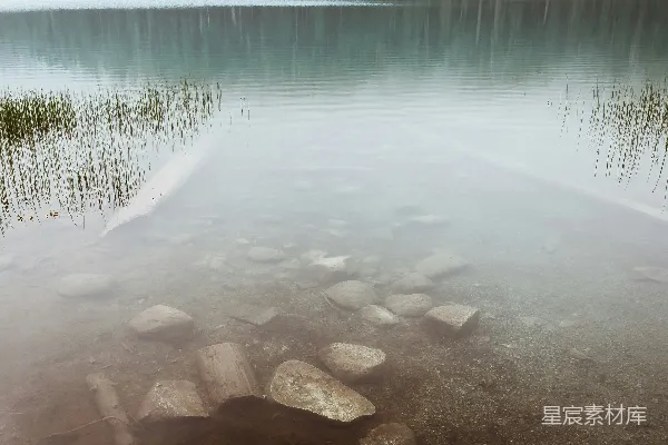 高清摄影 近水环绕的树丛中的风景摄影，周围弥漫着雾气。
