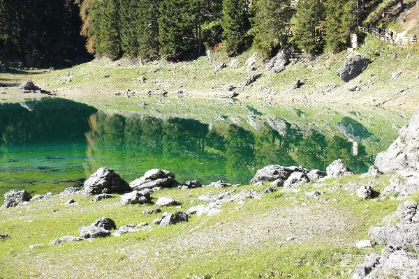 高清摄影 湖边白天近处的绿色草地