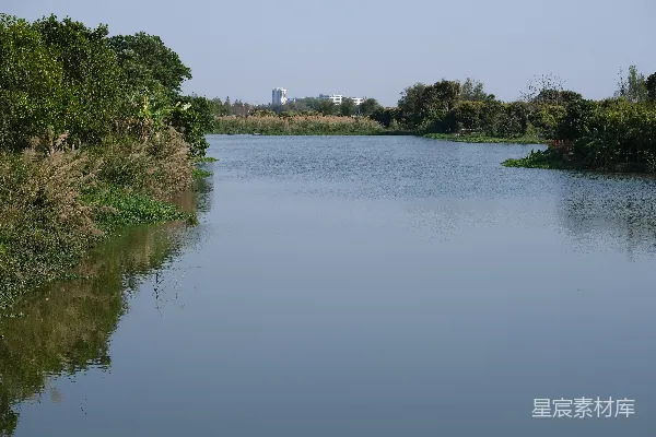 高清摄影 一条宁静的河流穿过茂密翠绿的河岸。